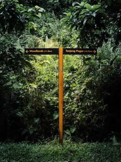 andrew biel trail guide to the body